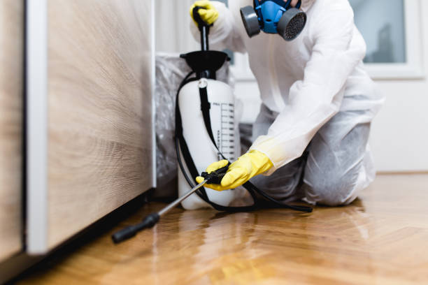 Professional Pest Control in Glen Ellyn, IL