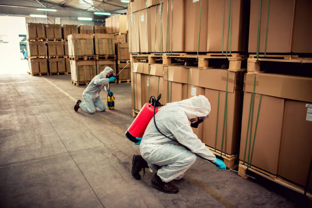 Best Mosquito Control Services  in Glen Ellyn, IL