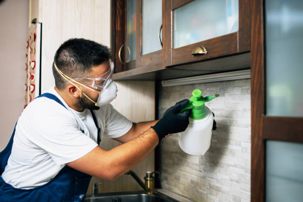 Best Pest Inspection Near Me  in Glen Ellyn, IL