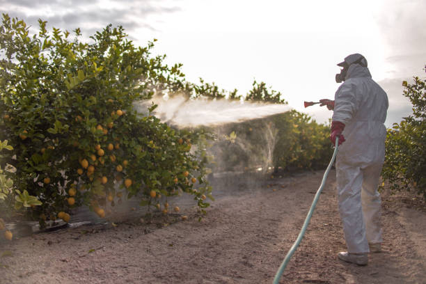Best Residential Pest Control  in Glen Ellyn, IL