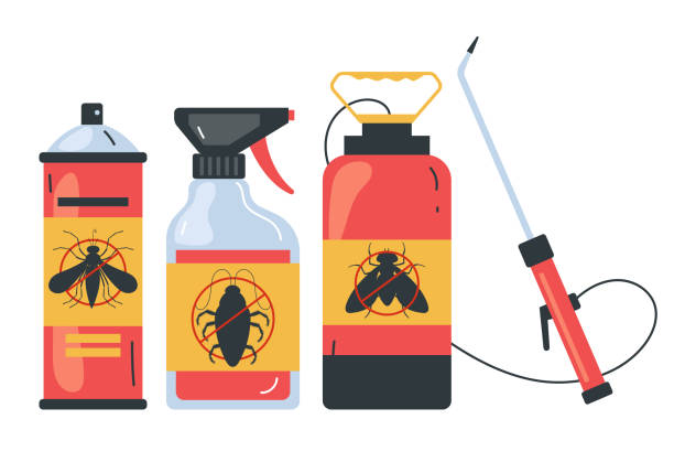 Best Spider Control Near Me  in Glen Ellyn, IL