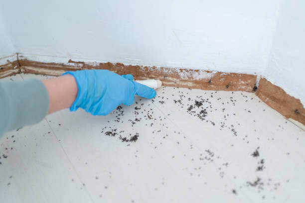 Best Pest Removal Services  in Glen Ellyn, IL